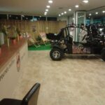 Cala Millor/Sa Coma: Guided Buggy Tour - What Makes This Tour Stand Out?