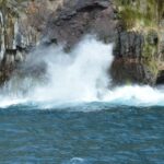 Calheta: Whale & dolphin watching small groups designer tour - Swimming, Snorkeling, and Water Fun
