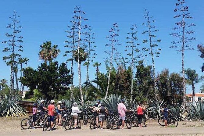 Cali Dreaming Electric Bike Tour of La Jolla and Pacific Beach - What Sets This Tour Apart?