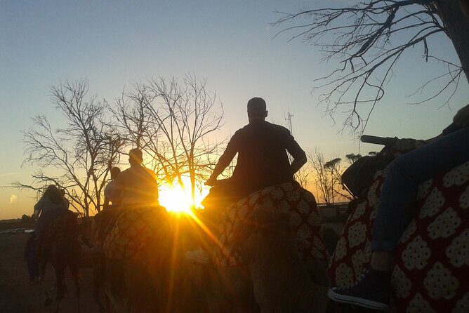 Camel Barbecue Sunset Agadir city - Final Thoughts: Is It Worth It?