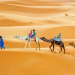 Camel & Quad Combo In Douz Sahara Desert - The Value of the Camel & Quad Combo Tour