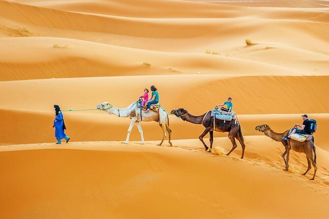 Camel & Quad Combo In Douz Sahara Desert - The Value of the Camel & Quad Combo Tour