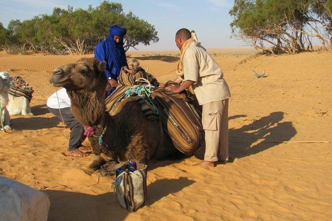 Camel ride and 1 night in the desert - What’s Included & What to Consider