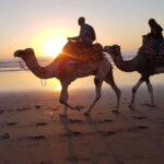 Camel Ride and Barbecue Tour in Agadir - Practical Details and Logistics