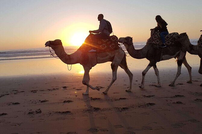 Camel Ride and Barbecue Tour in Agadir - Practical Details and Logistics
