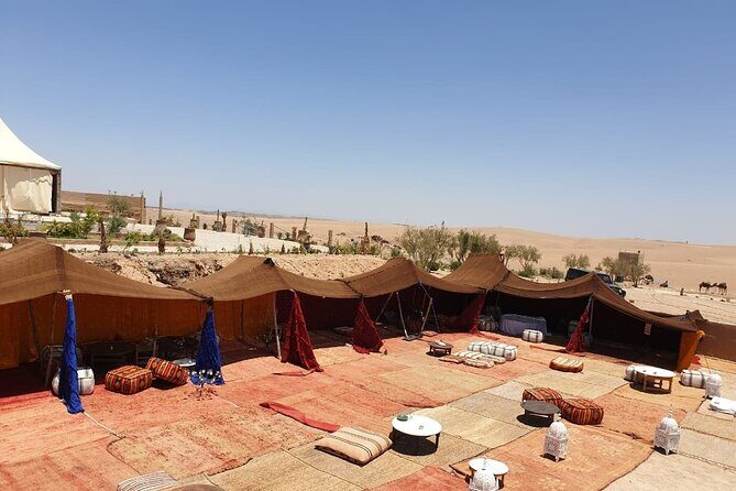 Camel ride and dinner Agafay desert - Practical Details and Tips