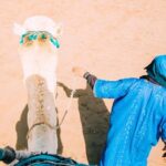 Camel Ride and Dinner in the Agafay Desert with Transportation - Sunset Over the Agafay Desert
