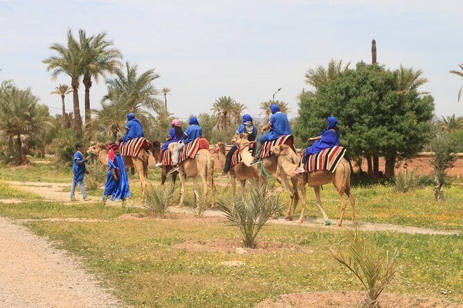 Camel Ride and Dinner under the Stars in the Agafay Desert - An In-Depth Look at the Experience
