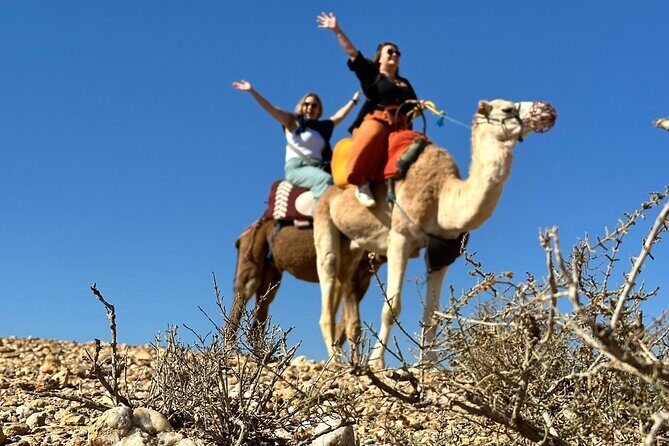 Camel ride and magical dinner in Agafay desert - The Scenic Camel Trek