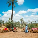 Camel Ride and Quad Biking with fresh mint Tea - Moroccan Lunch
