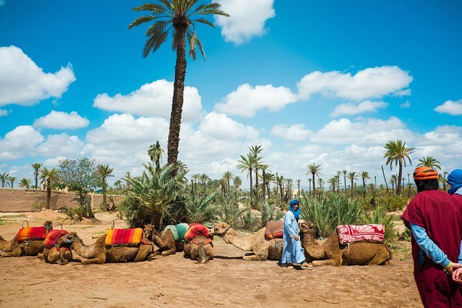 Camel Ride and Quad Biking with fresh mint Tea - Moroccan Lunch