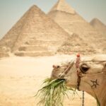 Camel Ride around the Pyramids During Sunrise Or Sunset - Who Should Consider This Tour?