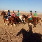 Camel ride & Bedouin dinner quad safari in Sharm el Sheikh - Practical Details
