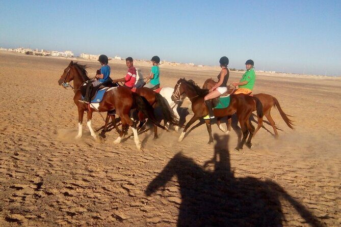 Camel ride & Bedouin dinner quad safari in Sharm el Sheikh - Practical Details