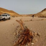 Camel Ride, Bedouin Dinner & Stargazing in 4X4 Jeep Safari in Hurghada - A Closer Look at the Desert Adventure