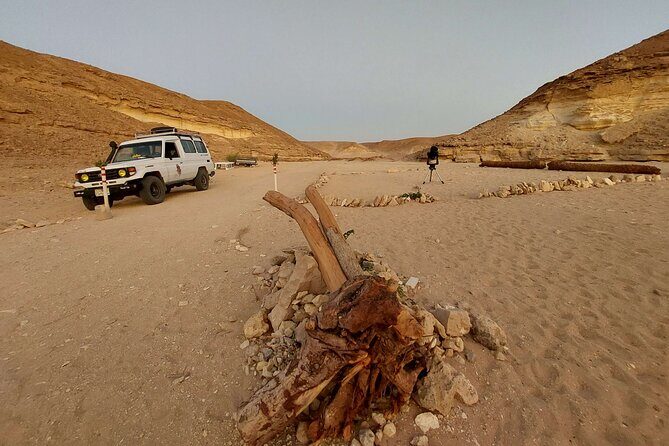 Camel Ride, Bedouin Dinner & Stargazing in 4X4 Jeep Safari in Hurghada - A Closer Look at the Desert Adventure