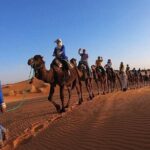 Camel Ride Experience - The Guides: Who They Are and Why They Matter