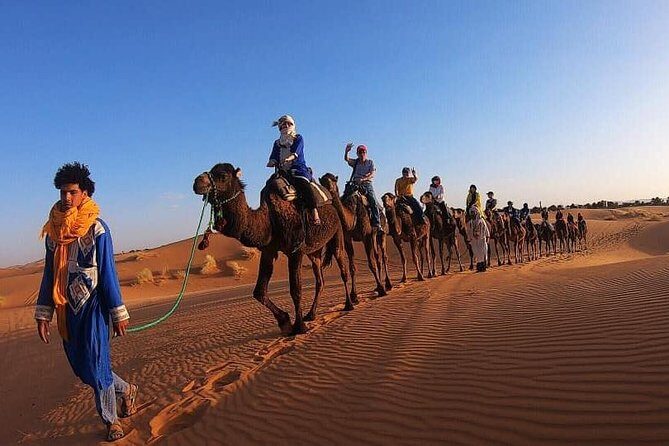 Camel Ride Experience - The Guides: Who They Are and Why They Matter
