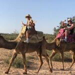 Camel ride in agadir at sunset with barbecue and couscous - Practical Tips for Booking and Enjoying Your Ride
