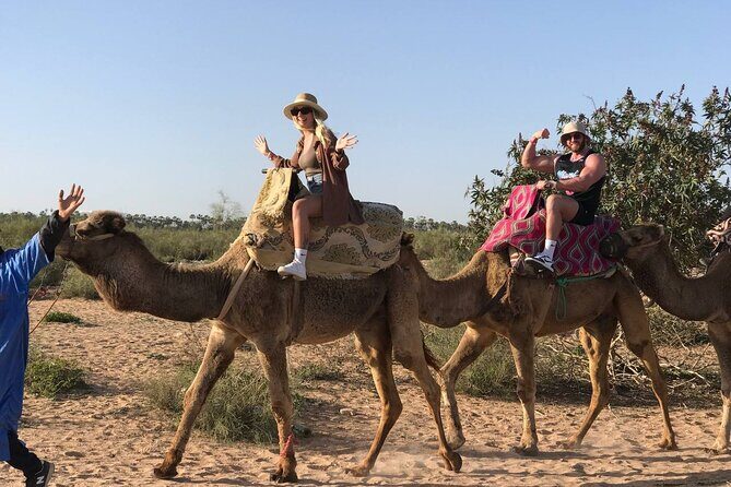 Camel ride in agadir at sunset with barbecue and couscous - Practical Tips for Booking and Enjoying Your Ride
