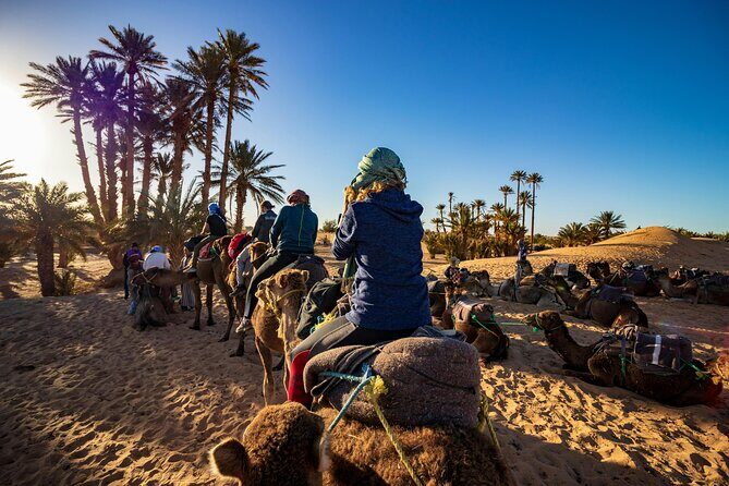 Camel Ride in Agadir with Dinner BBQ - Dinner and Cultural Flavors