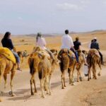 Camel Ride in agafay - Pickup and Arrival