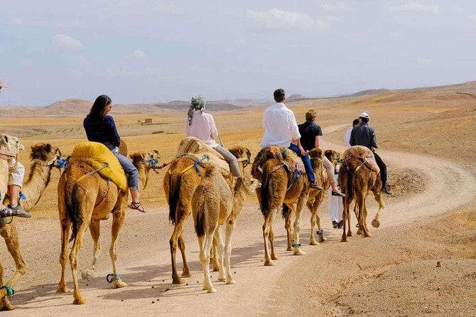 Camel Ride in agafay - Pickup and Arrival