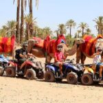Camel Ride in Marrakech desert palmgrove - What To Expect from the Tour
