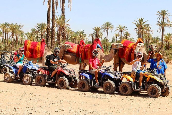 Camel Ride in Marrakech desert palmgrove - What To Expect from the Tour