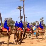 Camel Ride in Marrakech Palm Grove - Additional Notes and Considerations