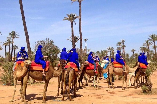 Camel Ride in Marrakech Palm Grove - Additional Notes and Considerations
