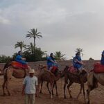 Camel ride in Marrakech (Palmerie) - Who Is This Tour Best For?