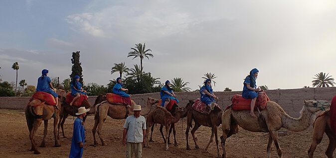 Camel ride in Marrakech (Palmerie) - Who Is This Tour Best For?