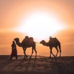 Camel Ride in Merzouga with 1 Night in Desert Camp - What Makes This Tour Stand Out?