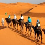 Camel ride in Tanger - Cap Spartel: A Scenic Photo Break
