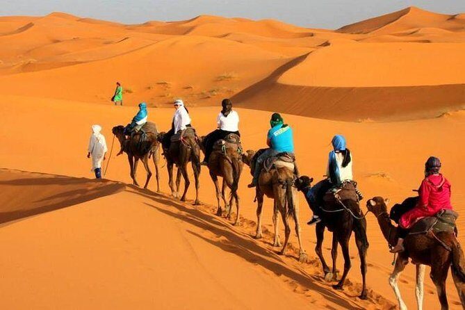 Camel ride in Tanger - Cap Spartel: A Scenic Photo Break