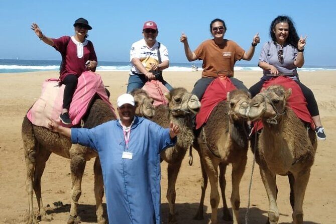 Camel Ride in Tangier - Practical Details and What You Need to Know