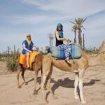 Camel Ride in the Palm Grove of Marrakech - How This Tour Balances Cost and Value