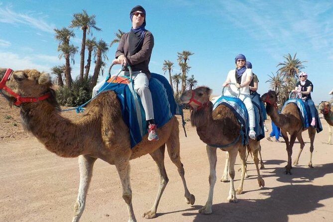 camel ride marrakech - What Makes the Camel Ride Special?