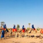 Camel Ride Marrakech - Practical Details and Considerations