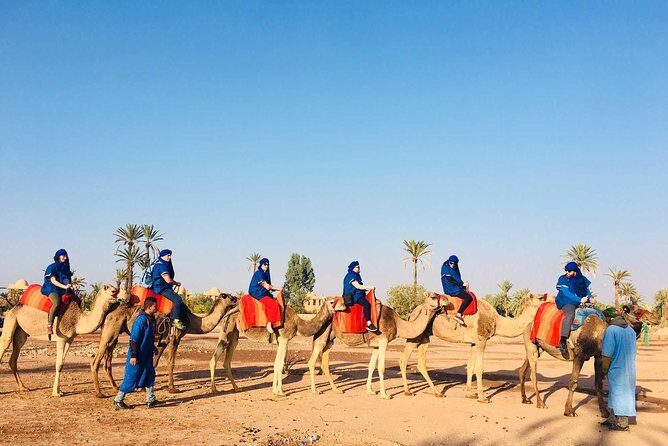 Camel Ride Marrakech - Practical Details and Considerations