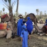 Camel ride Marrakech palmeraie - The Practical Side