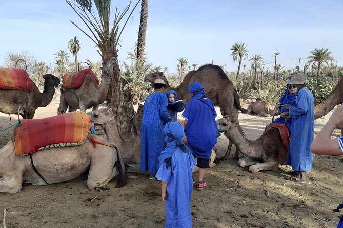 Camel ride Marrakech palmeraie - The Practical Side
