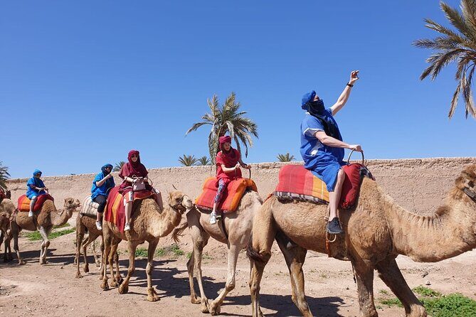 Camel ride Marrakech - The Traditional Mint Tea and Cultural Touches