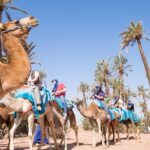Camel Ride Near To Marrakech - FAQ