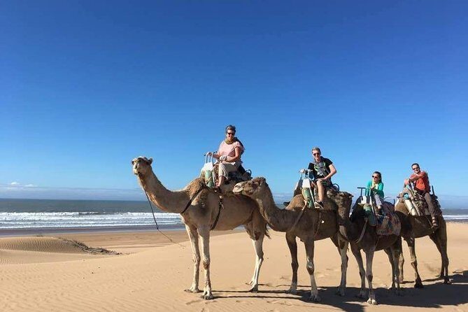 Camel Ride on the Beach of Essaouria - FAQ