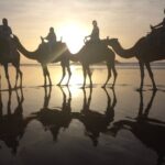 Camel ride or quad bike ride.. pick up, drop off. including - Why This Tour Works