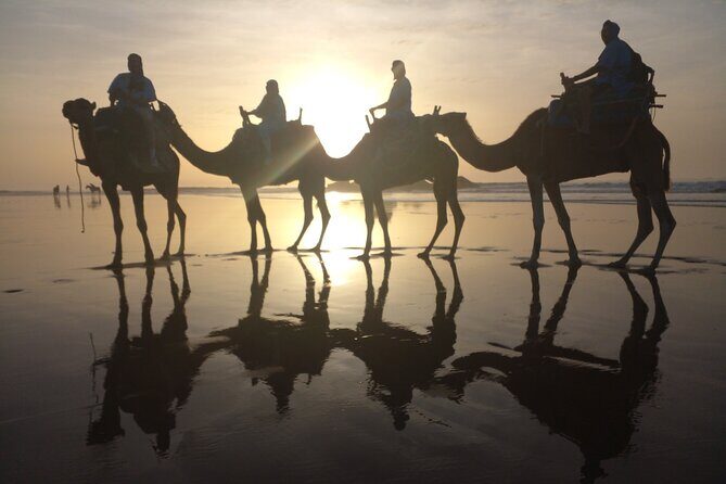 Camel ride or quad bike ride.. pick up, drop off. including - Why This Tour Works
