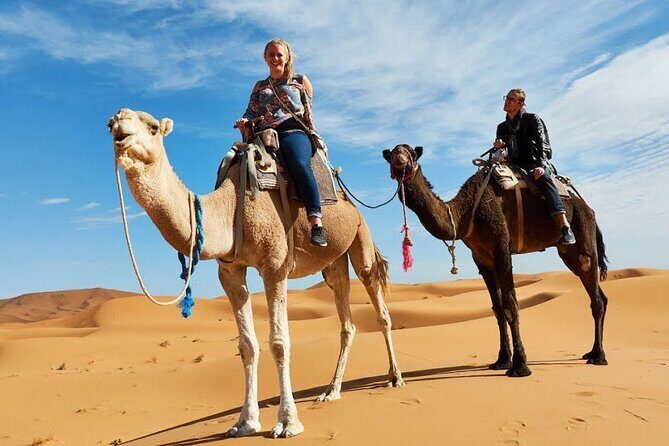 Camel Ride & Overnight Berber Camps in Merzouga Desert - The Experience from Reviews