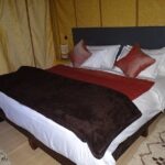 Camel ride & overnight in desert camp - Why Travelers Love This Tour